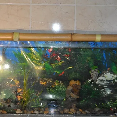 Sea Apartman Wrocław